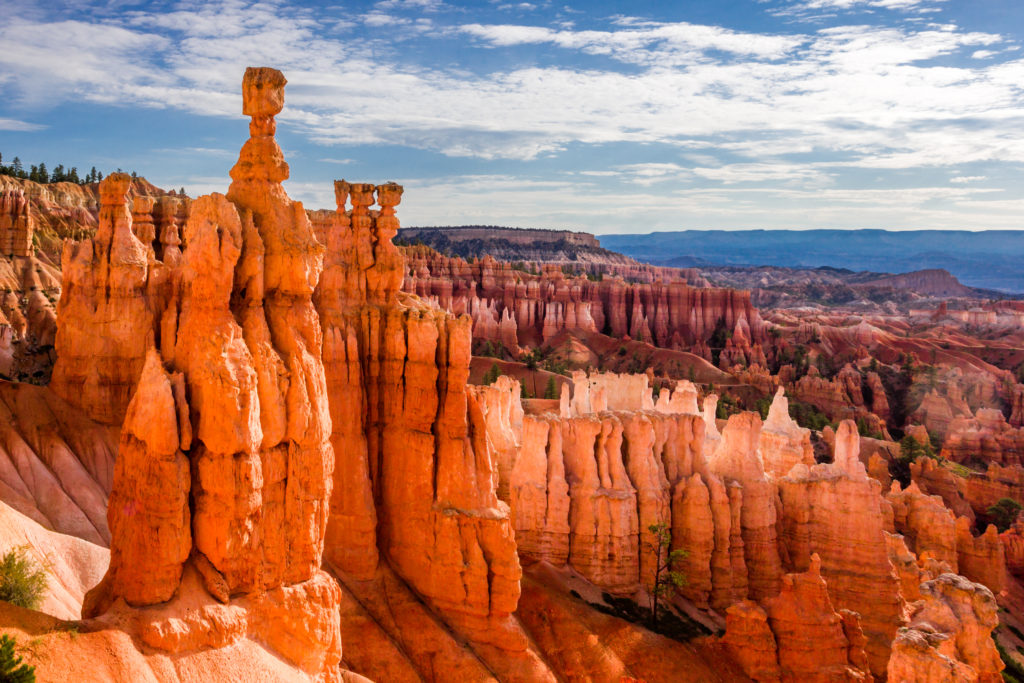 Bryce_Canyon_National_Park___Zion_National_Park_261872_527